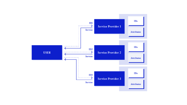 Schematic representation of the siloed model